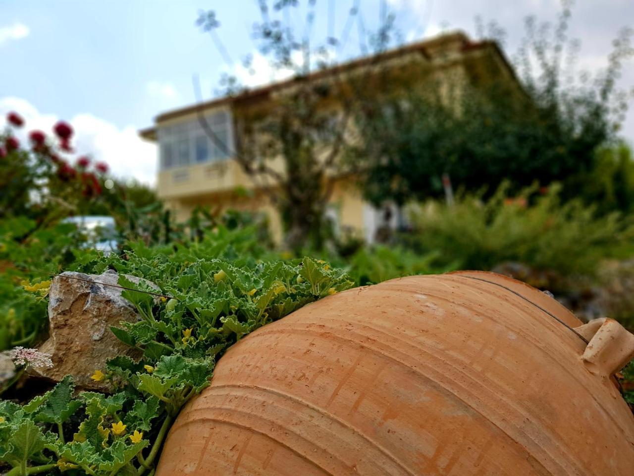 Maison Kronio Lassithi Plateau Marmaketon Esterno foto