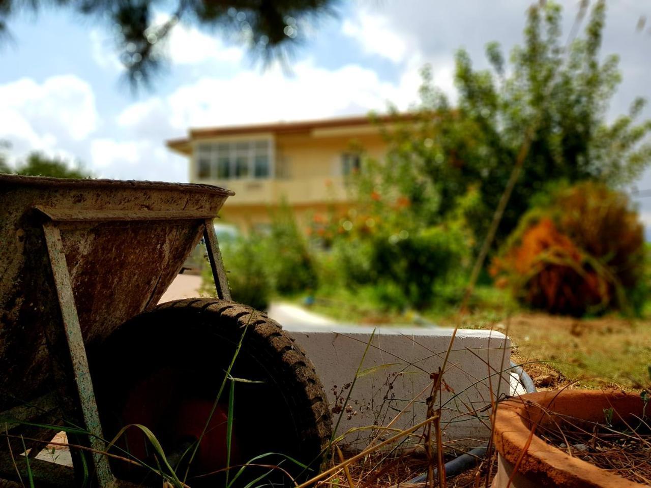 Maison Kronio Lassithi Plateau Marmaketon Esterno foto